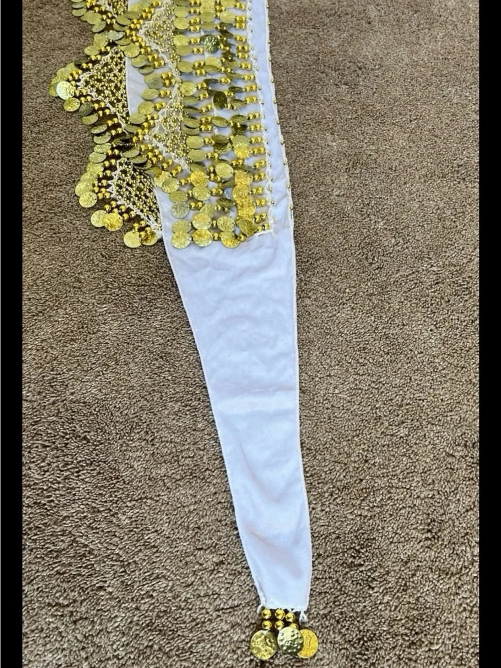 Women Belly Dance Hip Scarf with Coins Velvet Belly Dance Belt New